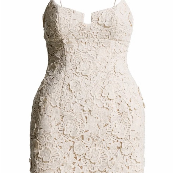 Magda Butrym Dresses & Skirts - Magda Butrum & H&M Elegant Cream Lace Dress
